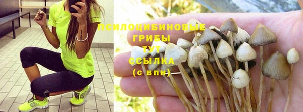 сатива Алзамай