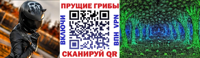 продажа наркотиков  Горбатов  Галлюциногенные грибы Psilocybine cubensis 